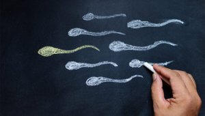 spermauntersuchtung-spermiogramm